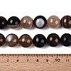 Natural Striped Agate/Banded Agate Beads G-Q606-42B-D01-5