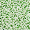 8/0 Opaque Glass Seed Beads X1-SEED-S048-N-009-3