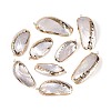 Electroplate Natural Sea Shell Big Pendants SSHEL-T018-18-1