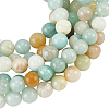 GOMAKERER 3 Strands Natural Flower Amazonite Beads Strands G-GO0001-13-1