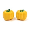 Opaque Resin Imitation Vegetable Beads RE-CBAC4C7-01A-2