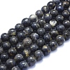 Natural Iolite Beads Strands G-E561-16-10mm-1