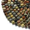 Natural Ocean Jasper Beads Strands G-P573-A25-01-3