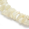 Natural White Moonstone Beads Strands G-P332-01-3