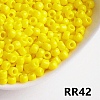 Opaque 8/0 Glass Seed Beads SEED-I013-3mm-RR42-1