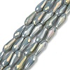 Electroplated Opaque Glass Beads Strands EGLA-L015-FR-B19-01-1