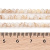 Natural Freshwater Shell Beads Strands X-SHEL-T011-02-3mm-4