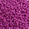 Baking Paint Glass Seed Beads SEED-S003-K21-3