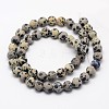 Natural Dalmatian Jasper Beads Strands G-D685-6mm-2