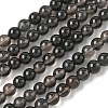 Natural Ice Obsidian Beads Strands X-G-P590-A03-6mm-02-2