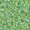 FGB Transparent Colours Glass Seed Beads SEED-Q040-07A-B06-3