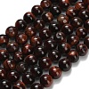 Natural Tiger Eye Beads Strands G-F591-18-8mm-07-3