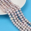Natural Cultured Freshwater Pearl Beads Strands PEAR-I007-07Z-04A-1