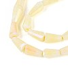 Anti-Tarnish Electroplate Glass Beads Strands GLAA-T025-27C-3
