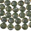 Natural TaiWan Jade Beads Strands G-A292-A12-01-5