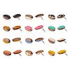 Craftdady 12Pairs 12 Colors Opaque Resin & Walnut Wood Stud Earring Findings MAK-CD0001-05-20