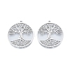 Non-Tarnish 201 Stainless Steel Pendant STAS-B027-13P-1