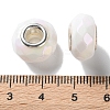 Opaque Brass Cores Acrylic European Beads OACR-M024-03P-13-3