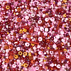 100G 2 Colors Glass Seed Beads SEED-TA0001-17B-3