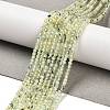 Natural Prehnite Beads Strands G-B107-A07-02-1