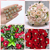 16Pcs Alloy Crystal Rhinestone Head Pins FIND-SP0004-63G-7