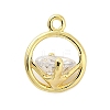 Brass Micro Pave Cubic Zirconia Charms ZIRC-F143-02G-1