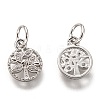 Brass Micro Pave Clear Cubic Zirconia Charms ZIRC-B002-66-3