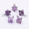 Natural Amethyst Pendants G-E398-01B-2