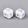 Handmade Porcelain Beads PORC-N012-13B-2