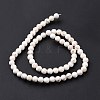 Natural Magnesite Round Bead Strands X-G-L358-4mm-02-4