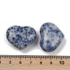 Heart Natural Blue Spot Jasper Palm Stones G-C186-02J-3