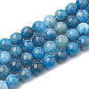 Natural Apatite Beads Strands G-S333-12mm-012-1