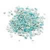 Natural Amazonite Beads LS-X-G-D472-01-1