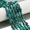 Natural HuBei Turquoise Beads Strands G-B089-B01-02-2