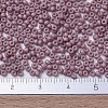 MIYUKI Round Rocailles Beads X-SEED-G007-RR2034-4