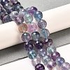 Natural Fluorite Beads Strands G-K345-A02-02-2