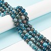 Natural Apatite Beads G-E481-05-10mm-01-2