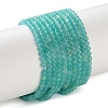 Natural Amazonite Beads Strands G-Z150-B01-3mm-2