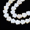 Natural Freshwater Shell Beads Strands SHEL-S278-078A-01-3