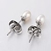 Natural Cultured Freshwater Pearl Ear Studs EJEW-JE01814-1