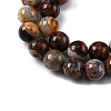 Natural Mexico Crazy Agate Beads Strands X-G-L615-A01-02-6