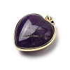 Natural Amethyst Pendants G-B149-10G-07-2