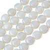 Opalite Beads Strands G-L648-B16-15mm-3