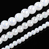 Electroplate Imitation Jade Glass Beads Strands GLAA-T032-J6mm-AB01-4