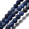 Natural Sodalite Beads Strands G-E110-8mm-3-2