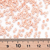 8/0 Opaque Glass Seed Beads SEED-S048-N-013-4