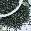 MIYUKI Delica Beads SEED-MY11-DB0458-4