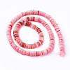 Natural Shell Beads Strands X-SSHEL-E571-49A-2