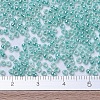 MIYUKI Round Rocailles Beads X-SEED-G007-RR0536-4