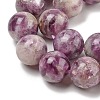 Natural Lepidolite/Purple Mica Stone Beads Strands G-G160-A01-03-4